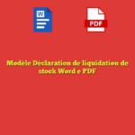 Modèle Déclaration de liquidation de stock Word e PDF